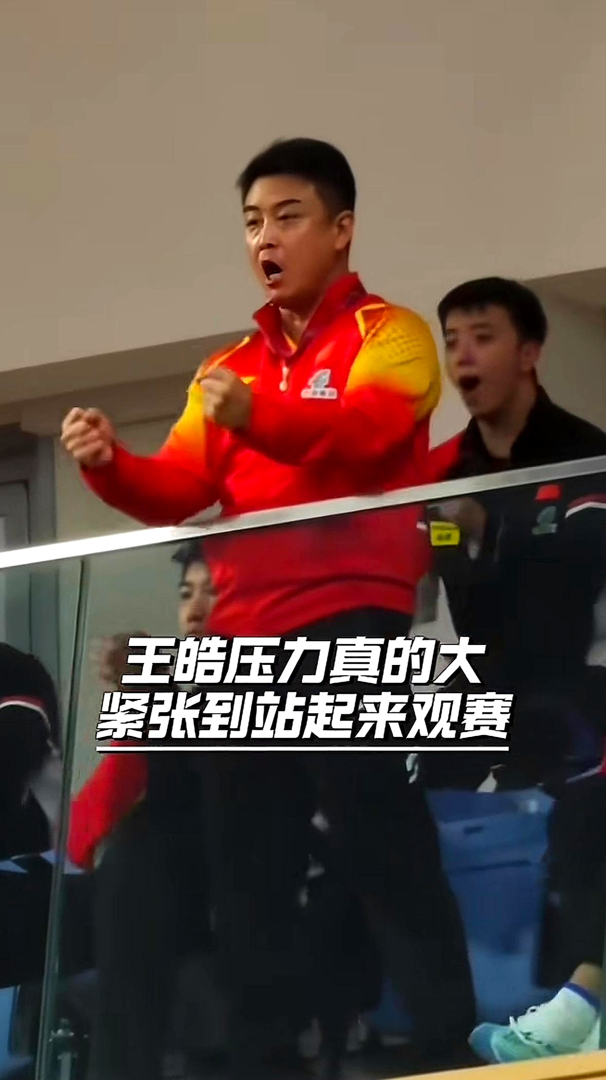 关于瑞典乒乓球队完胜中国乒乓球队，王皓制霸全场的信息