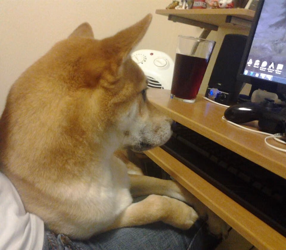 太阳的灼烧战术，西决生死战中火箭窒息记