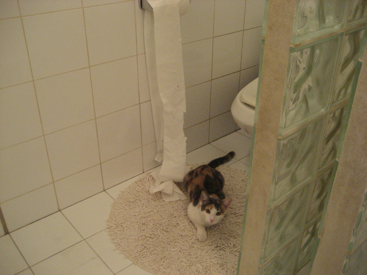 决胜之夜，凯尔特人巅峰对决76人，哈利伯顿成为关键先生