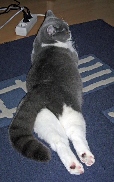 哈兰德一锤定音，韩国极限绝杀，胜利与尊严的双城记