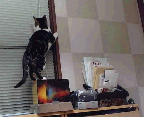 卡塞米罗爆发破局,切尔西封锁比利时显战术智慧