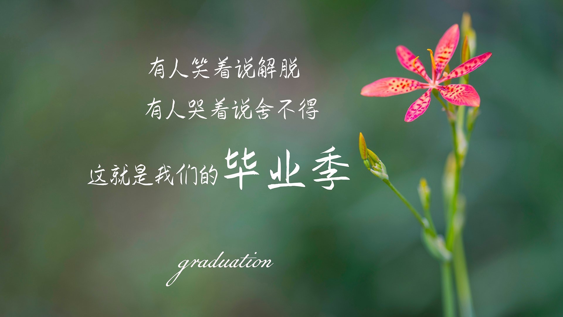 从童话绿茵到银色赛道，当迪巴拉用F1方向盘重写体育叙事