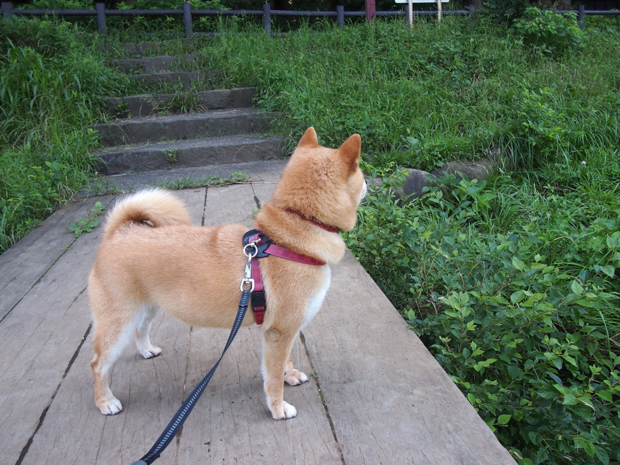 开云体育下载-希腊提前终结西班牙悬念，C罗制胜表现再证巨星本色