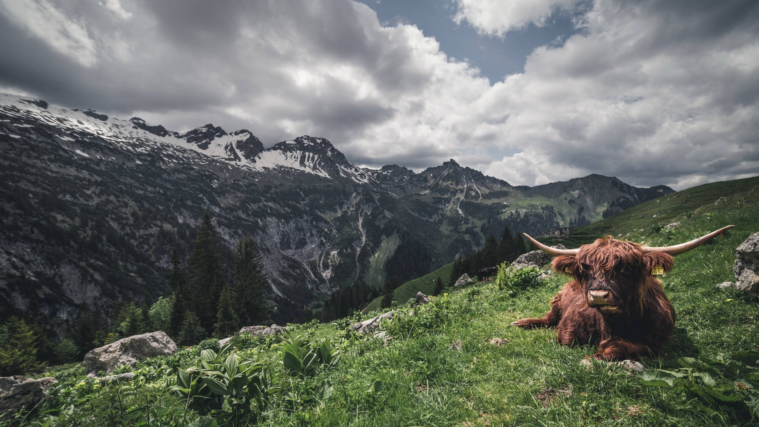 开云体育-保罗教科书级表现引领奇才力克湖人，客场胜利彰显团队韧性