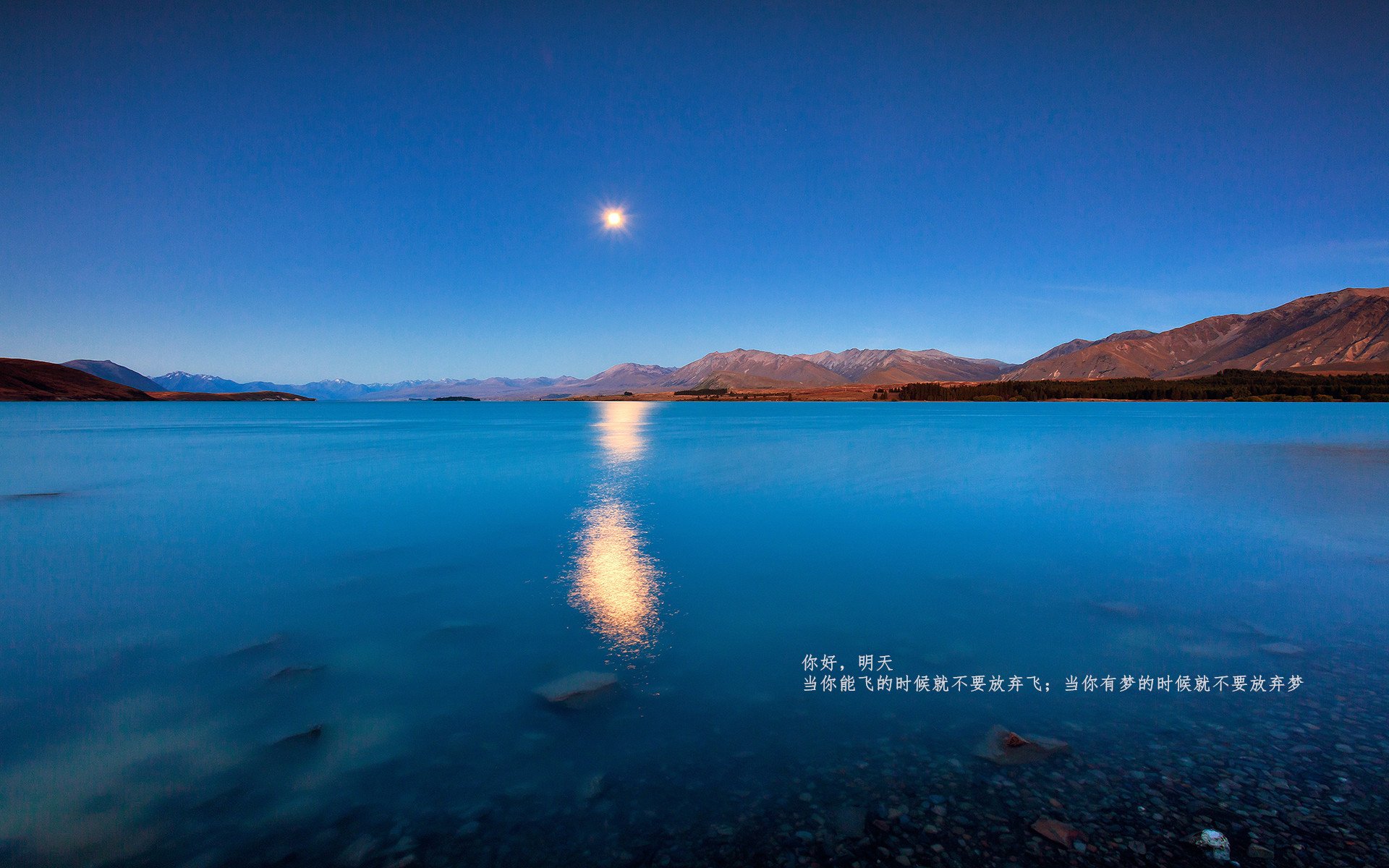 绿茵与硬木的传奇,AC米兰横扫苏格兰,戈麦斯东决主宰战场