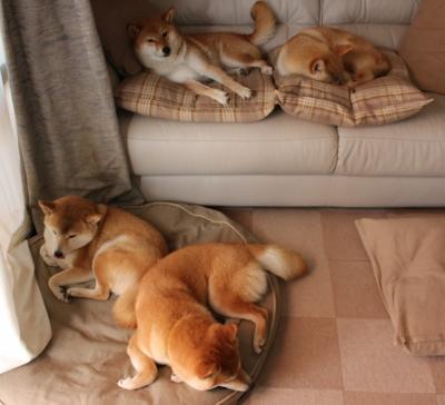 开云体育官网-天使之翼撕裂铁血防线，迪马利亚主宰土耳其巅峰对决