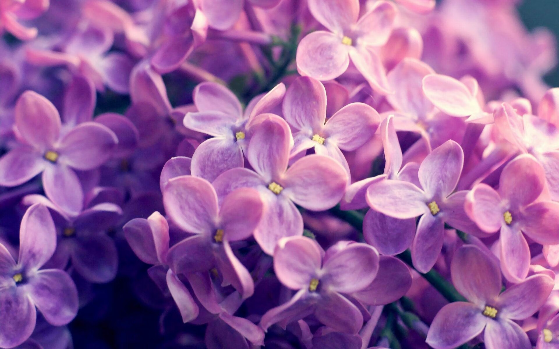 开云体育官网-掀翻！辽宁队力克北京队，莫兰特化身关键先生