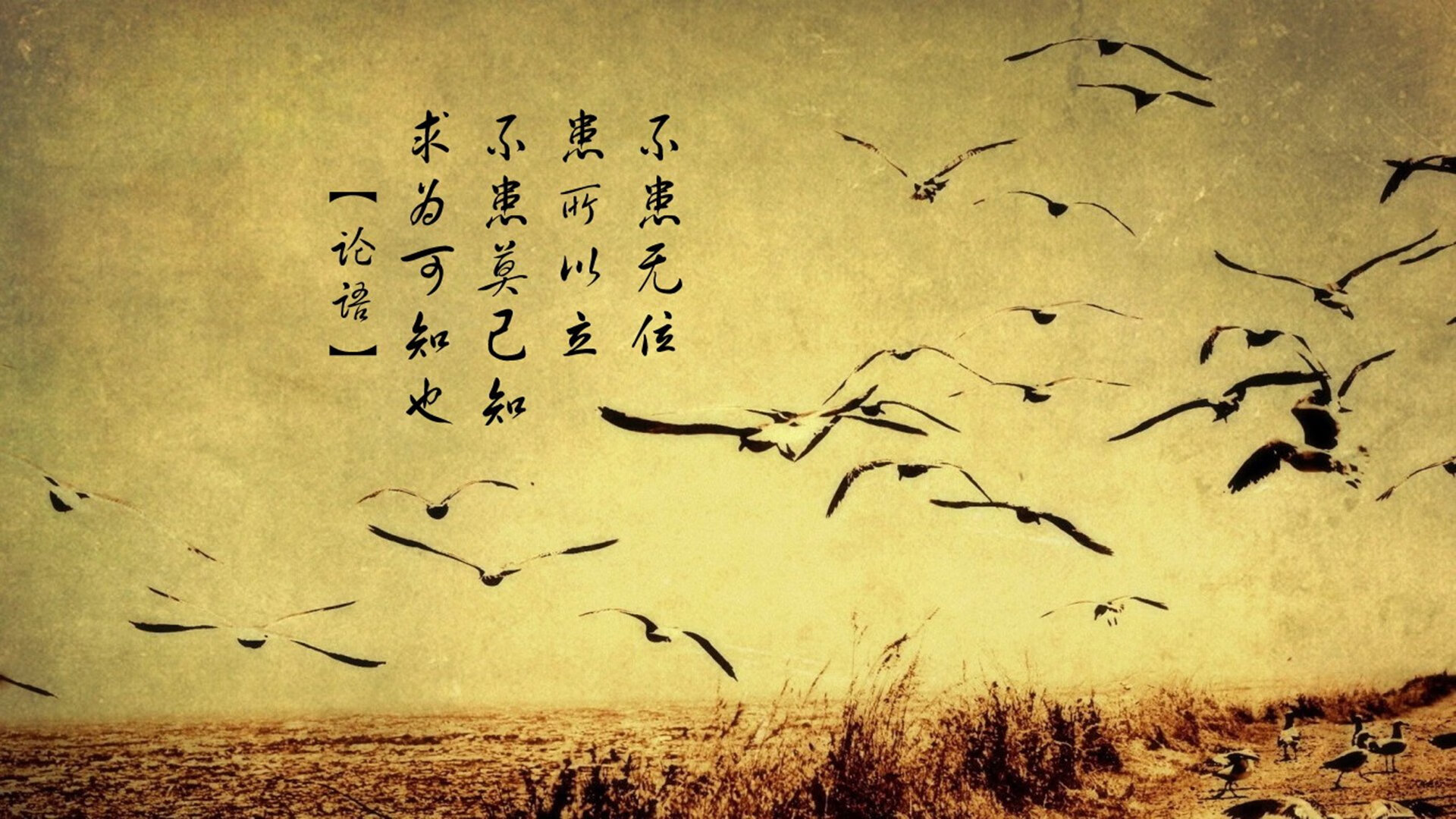 F1年度争冠之夜，足球王子德里赫特何以惊艳四座？