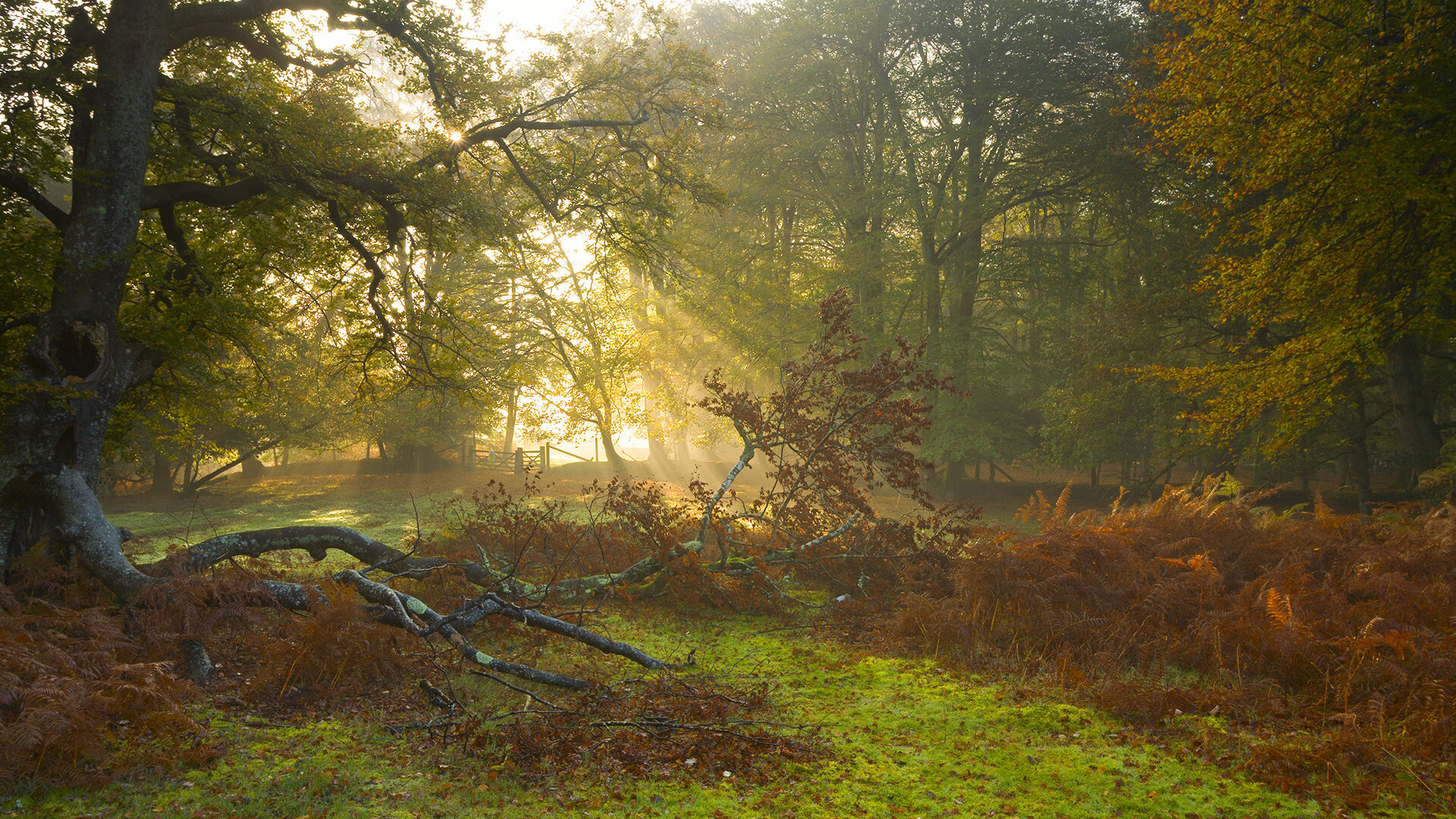 班凯罗统治攻防两端，雷霆末节逆转险胜广厦挺进下一轮