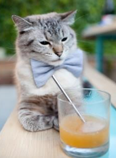 萨拉赫封神之夜无争议,三狮军团铁腕终结南美幻梦