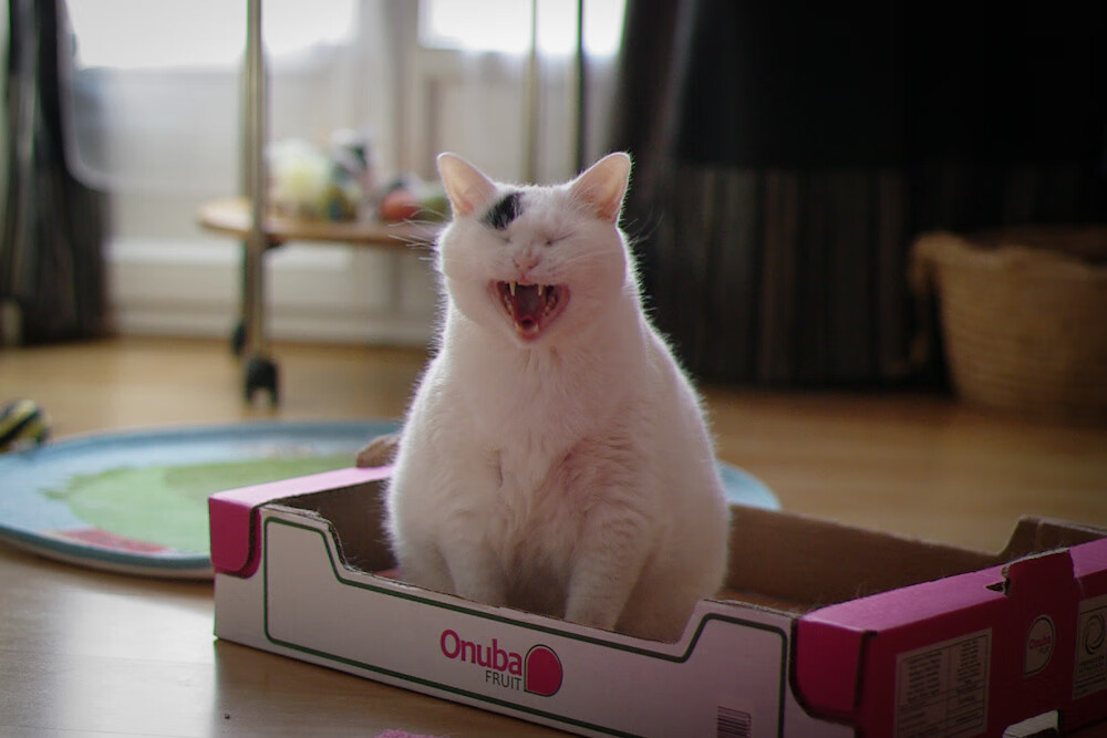 绝杀背后，一场失利的奥运周期时代分野