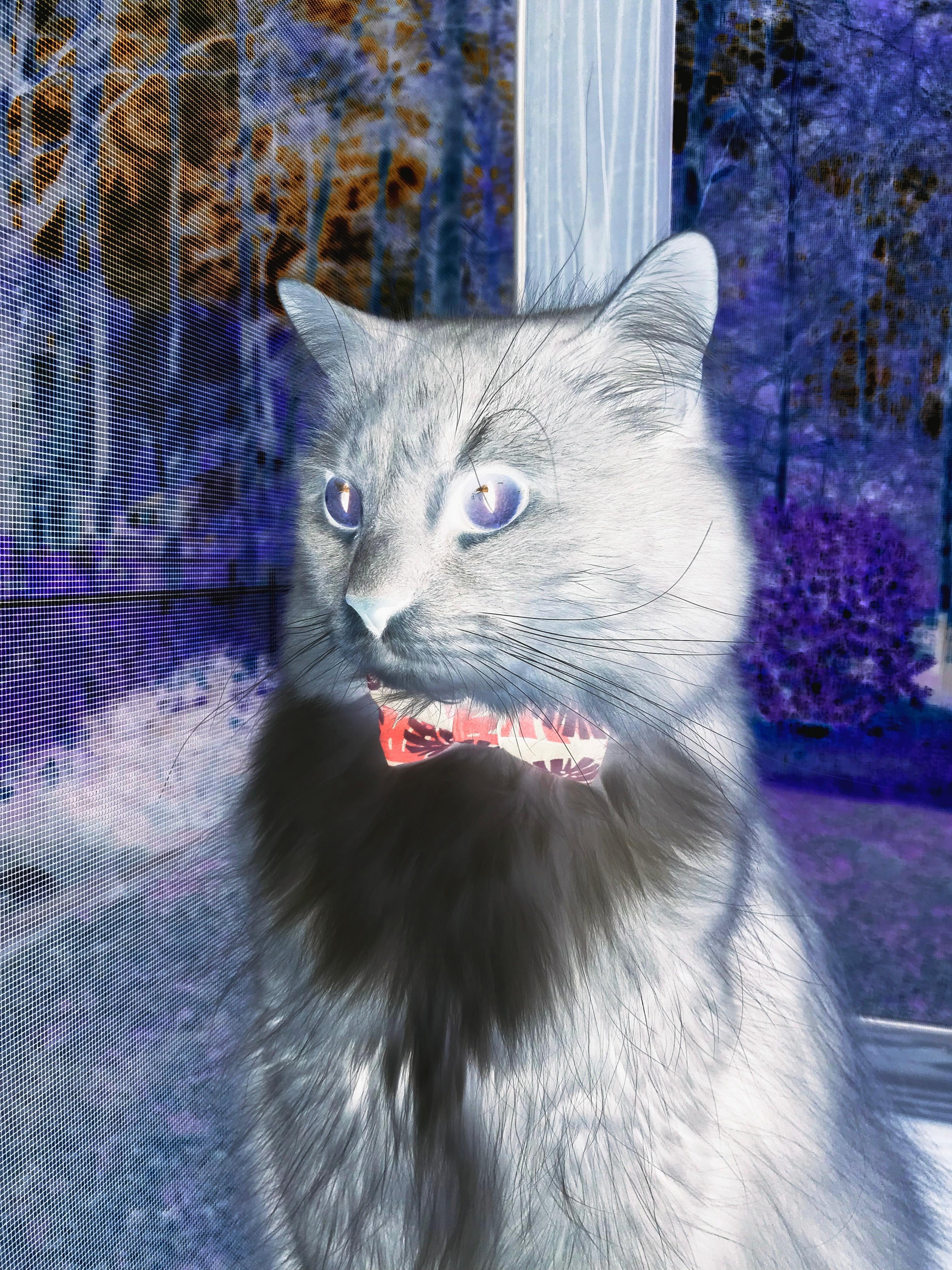 冰与火之歌，当西甲国家德比的烈焰，遇上加拿大轻取亚特兰大的冷静