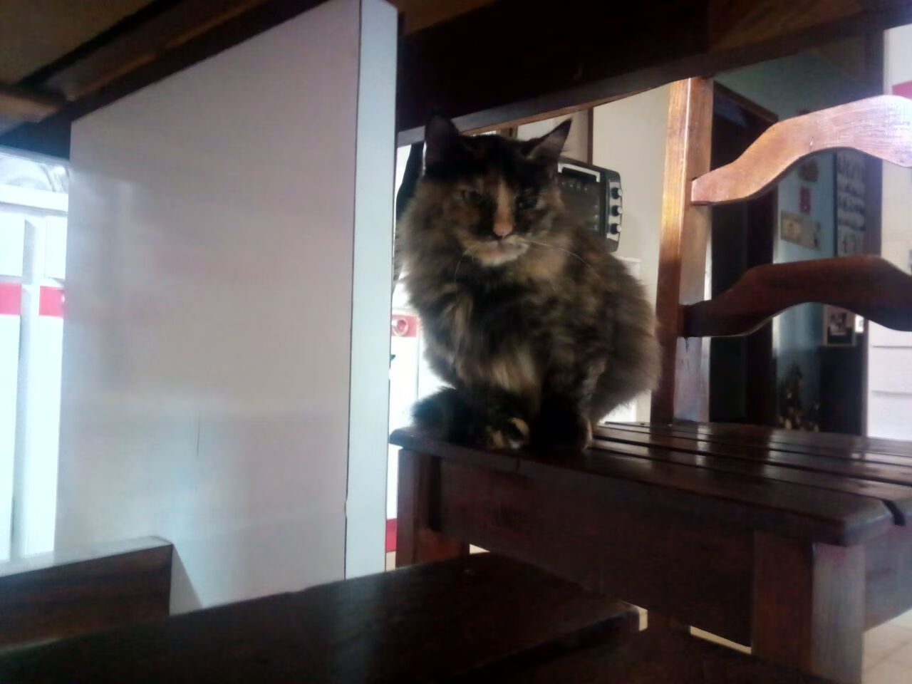 绝杀时刻与全面统治,丹麦险胜喀麦隆,莫德里奇攻防两端闪耀