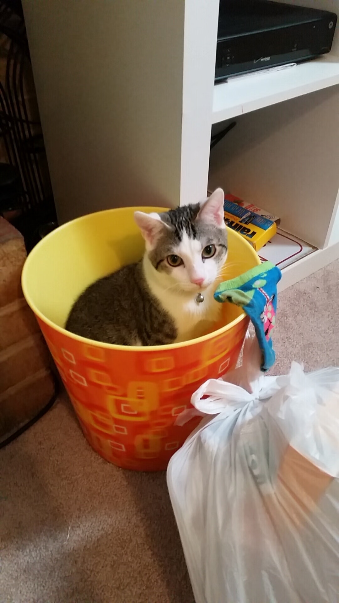 阿根廷客场带走尼斯胜利,拉亚神扑诠释关键先生本色