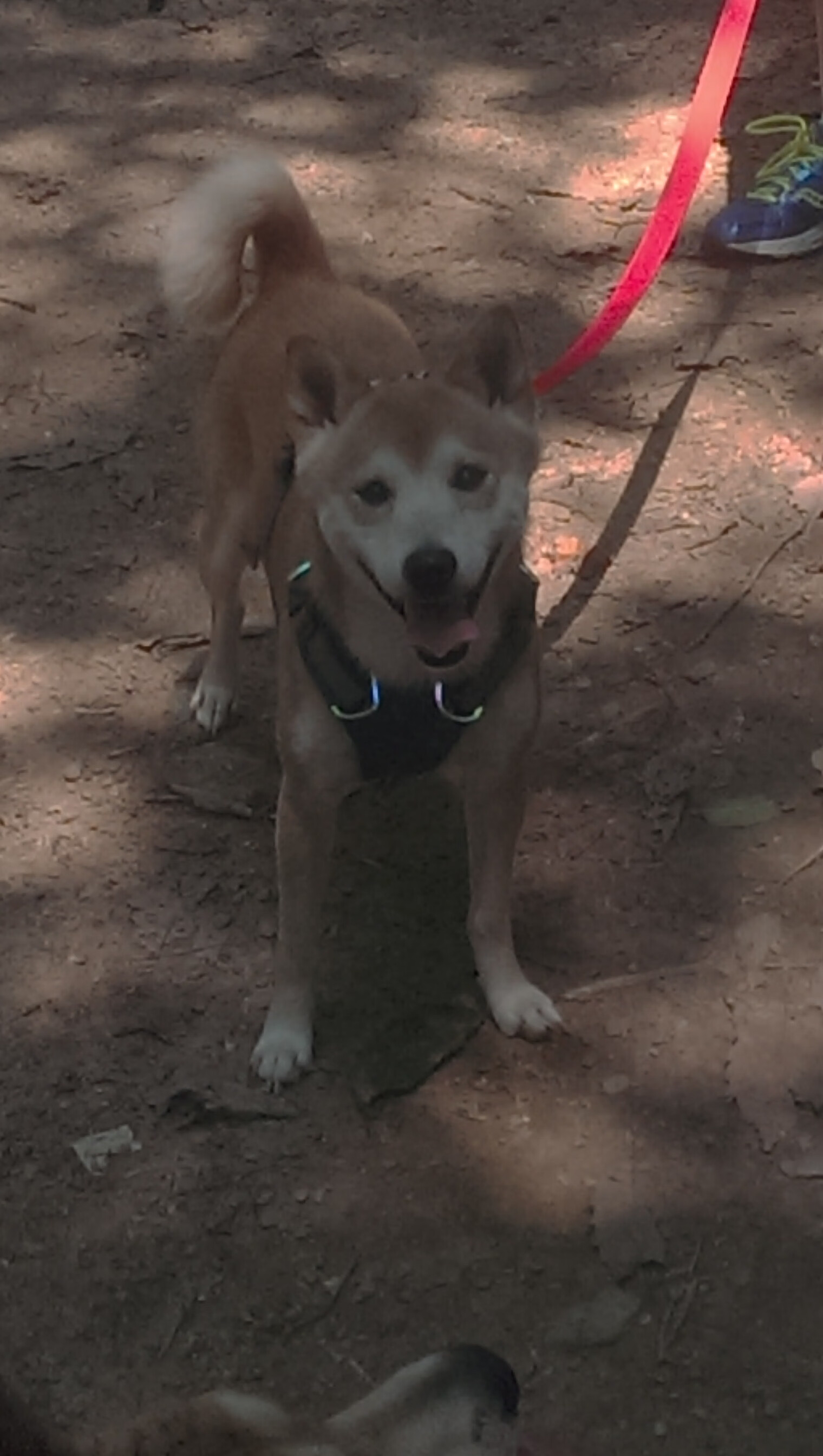 铁血热火力克76人,范弗利特死亡缠绕锁死马克西