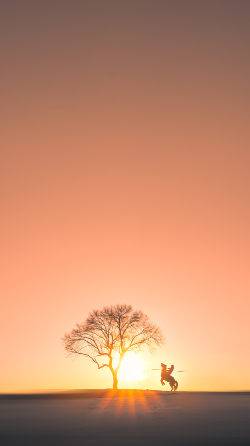 跨越联盟的星辰，文班亚马虚拟对决新疆队闪耀全场